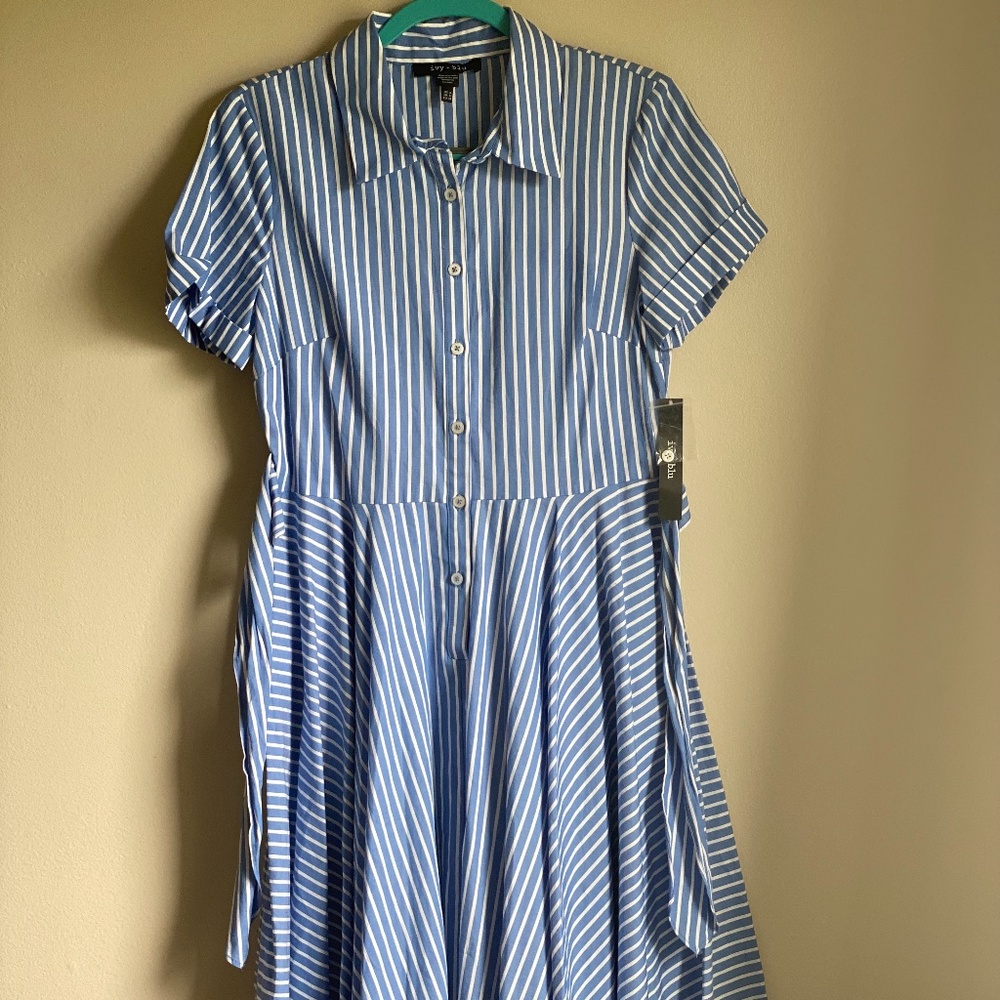 Ivy + Blu Stripped Dress